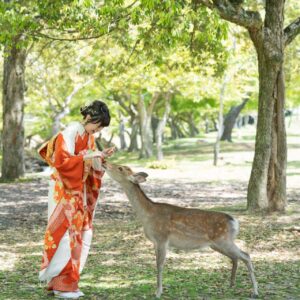 成人式振袖カメラマン出張撮影(ロケーションフォト)_鹿に餌やり_奈良市・橿原市・広陵町・木津川市の写真撮影と着物レンタルはフォトスタジオワタナベ（渡辺写真館）