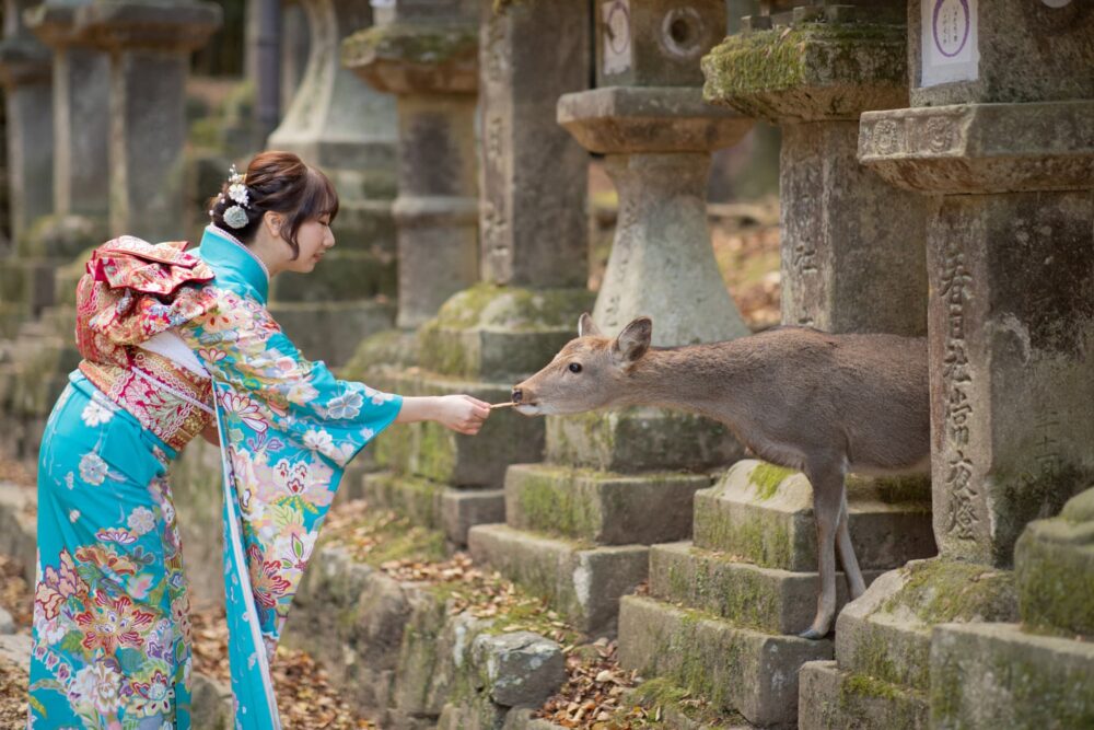 春日大社_成人式出張撮影ロケーションフォト_奈良県奈良市・橿原市
