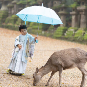 七五三カメラマン出張撮影(ロケーションフォト)_鹿と一緒に_奈良の写真撮影と着物レンタルはフォトスタジオワタナベ（渡辺写真館）