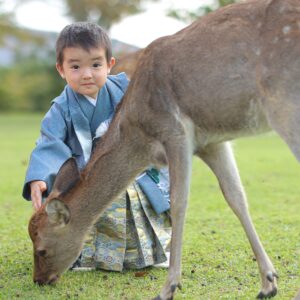 七五三カメラマン出張撮影(ロケーションフォト)_鹿をなでなで_奈良の写真撮影と着物レンタルはフォトスタジオワタナベ（渡辺写真館）