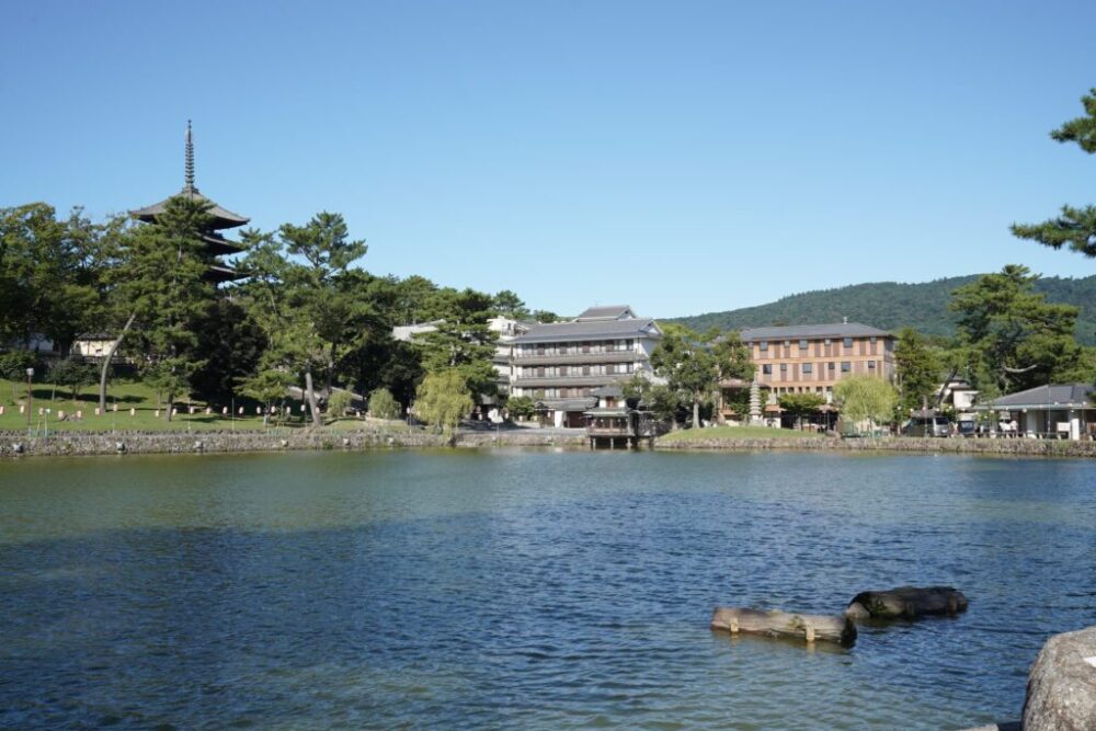 猿沢池ロケーション撮影_成人式男性袴・スーツ(前撮り・後撮り)_奈良県奈良市・橿原市・広陵町・木津川市