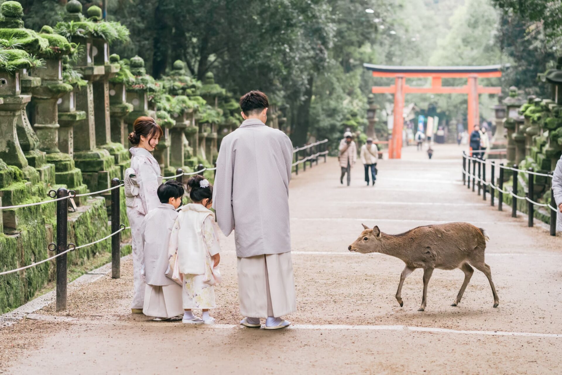 七五三_喪中や忌中は神社やお寺にお参りをしても良いのか