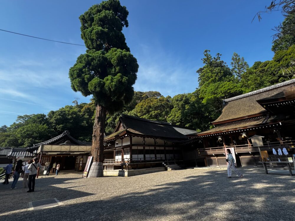 大神神社とは_ご祈祷場所_奈良の写真撮影と着物レンタルはフォトスタジオワタナベ渡辺写真館