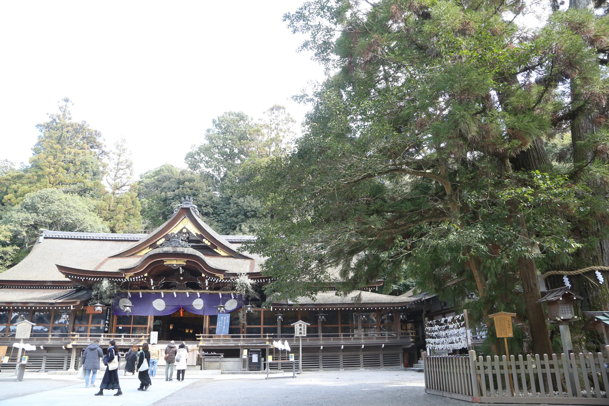 大神神社奈良県桜井市_七五三_トップ