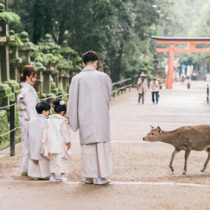 七五三(753)着物レンタル_奈良市・橿原市・広陵町・木津川市_ギャラリー13