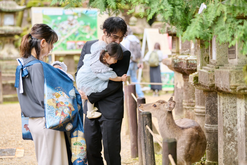 春日大社お宮参り・ご祈祷_鹿
