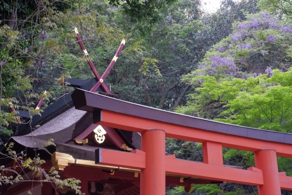 春日大社とは_摂社_若宮神社