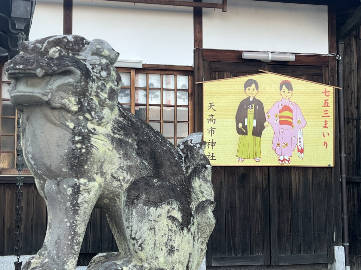 天高市神社_奈良県橿原市_七五三・お宮参り_七五三参り