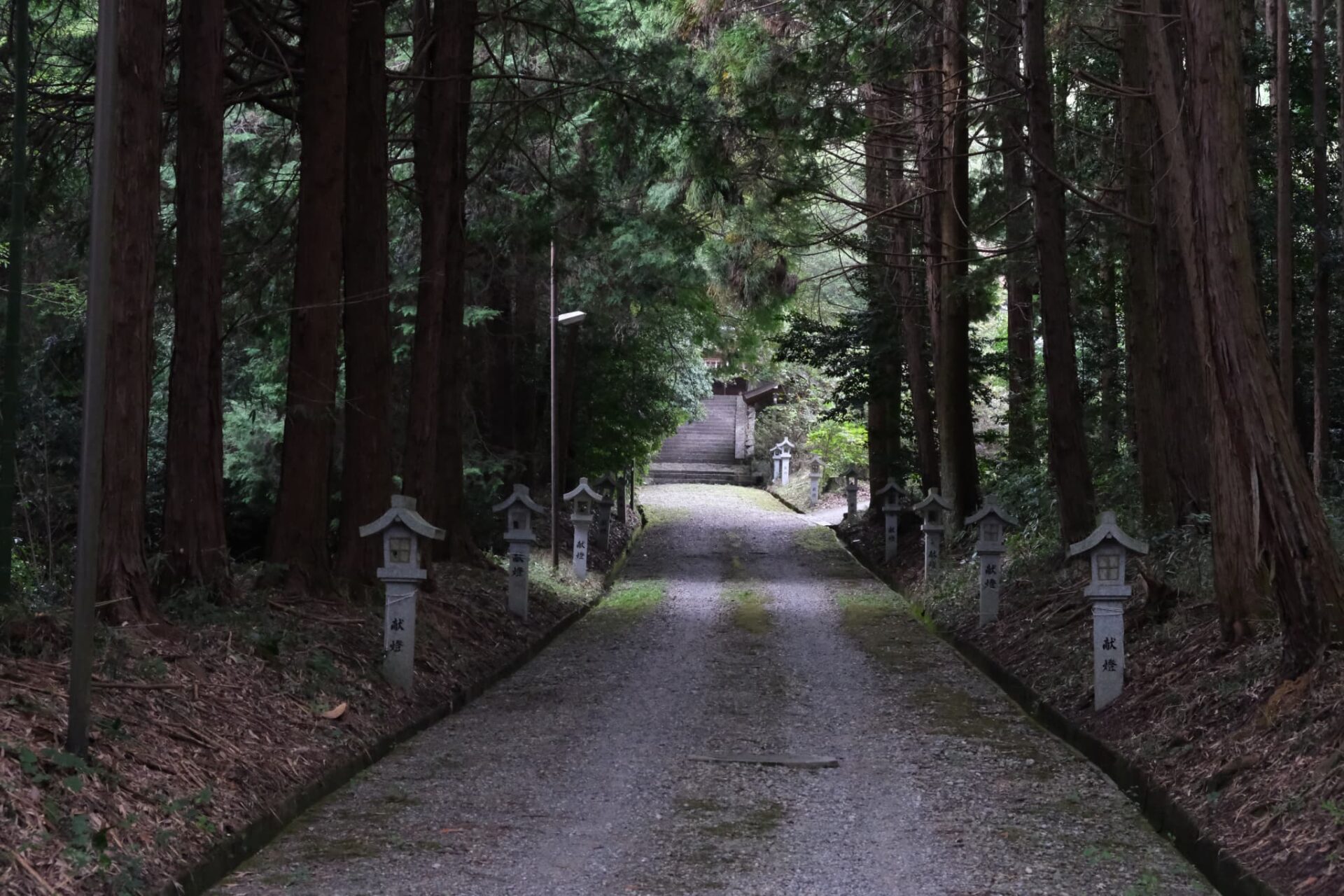 恭仁神社_七五三・お宮参り_参道