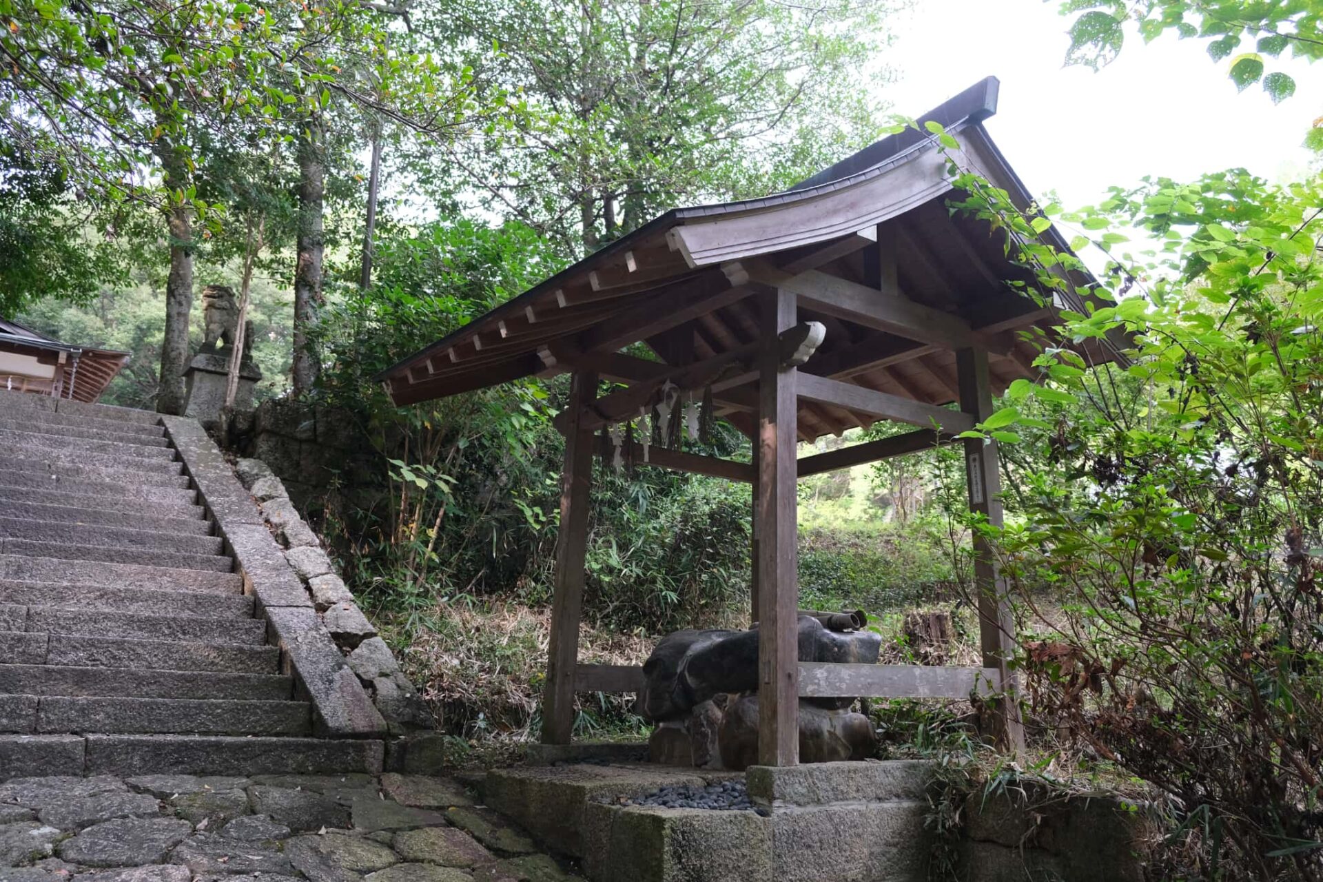 恭仁神社_七五三・お宮参り_手水