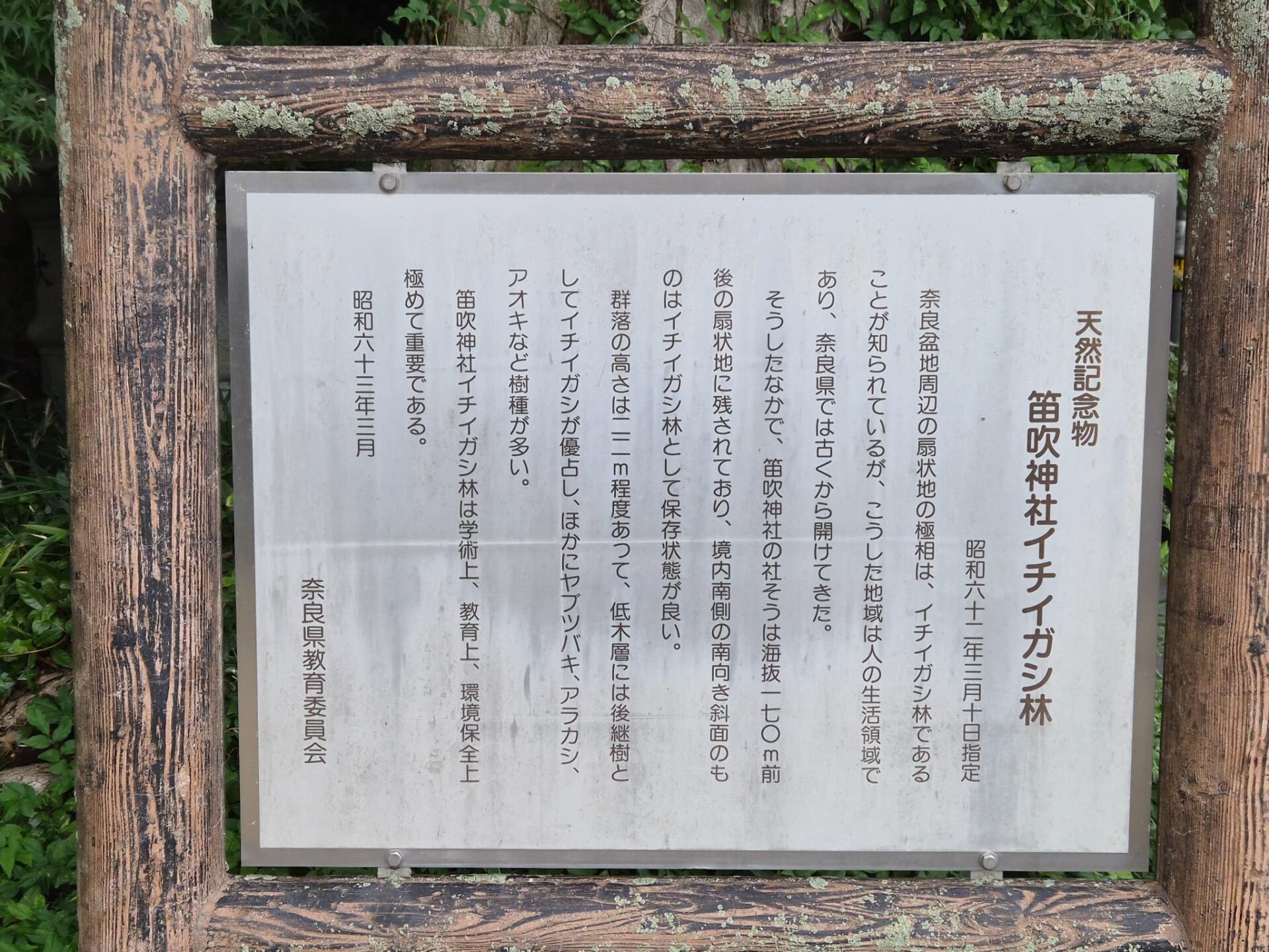 笛吹神社_奈良県葛城市_七五三・お宮参り_イチガシ林