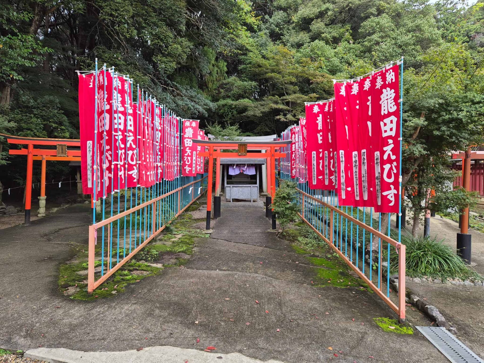 龍田大社_奈良県生駒郡三郷町_七五三、お宮参り_龍田恵美寿神社