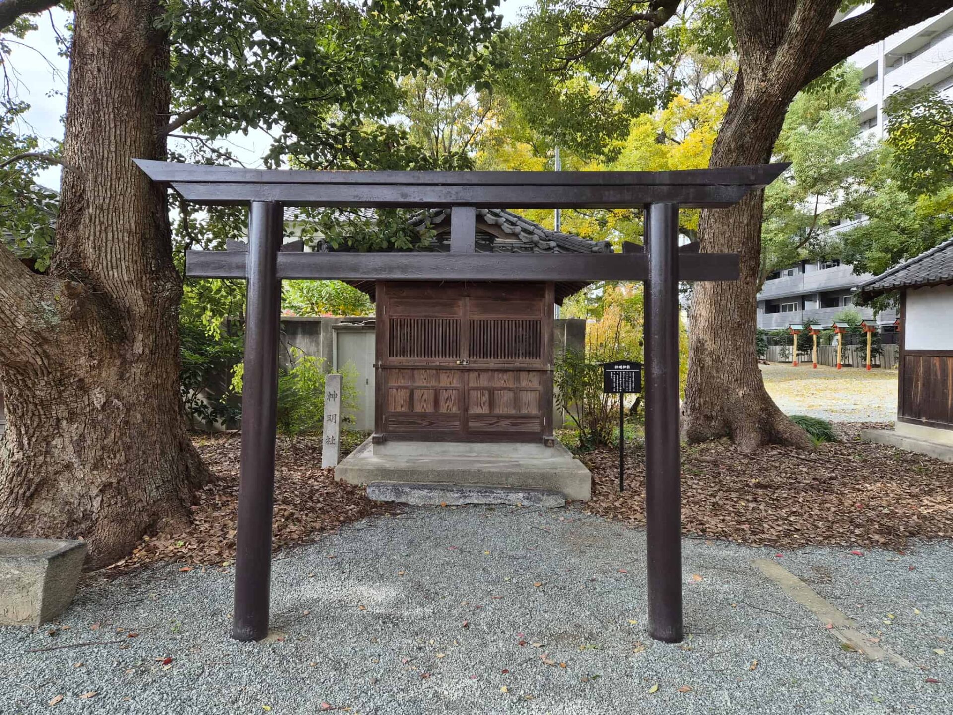 天神社_大和高田市_お宮参り・七五三・十三参り_神明社