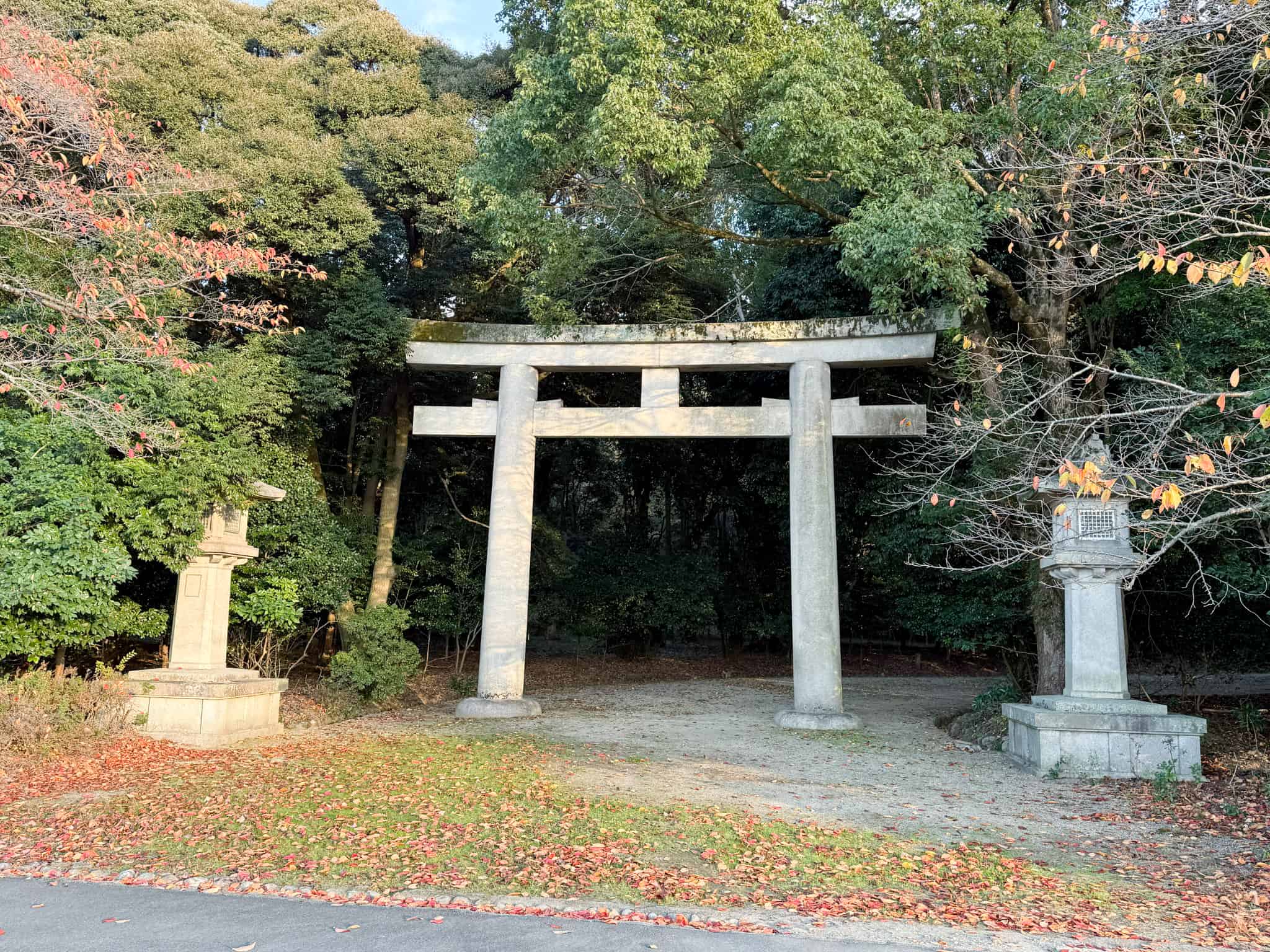 奈良県護国神社_七五三・お宮参り・十三参り_下の鳥居