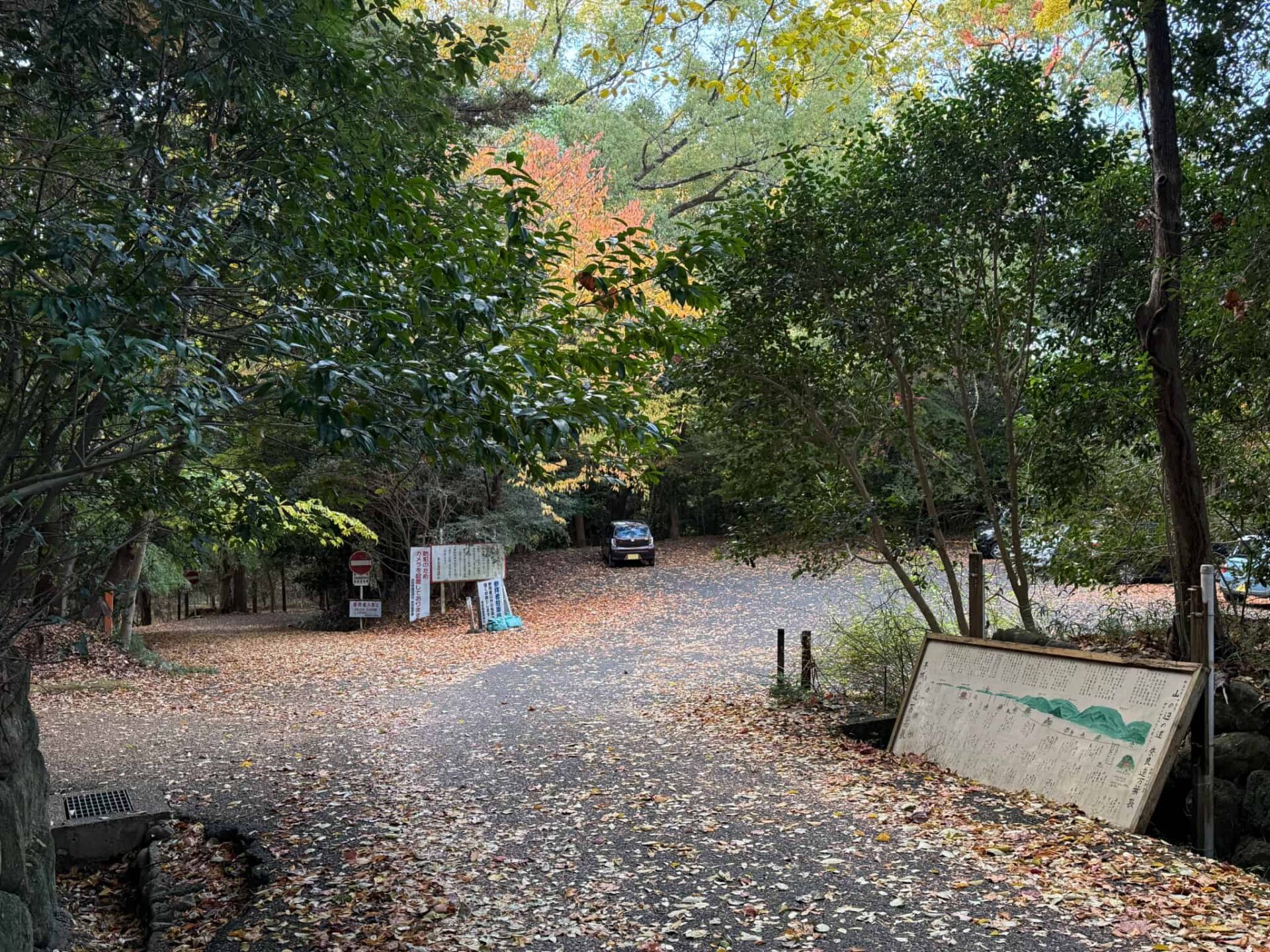 奈良県護国神社_七五三・お宮参り・十三参り_駐車場