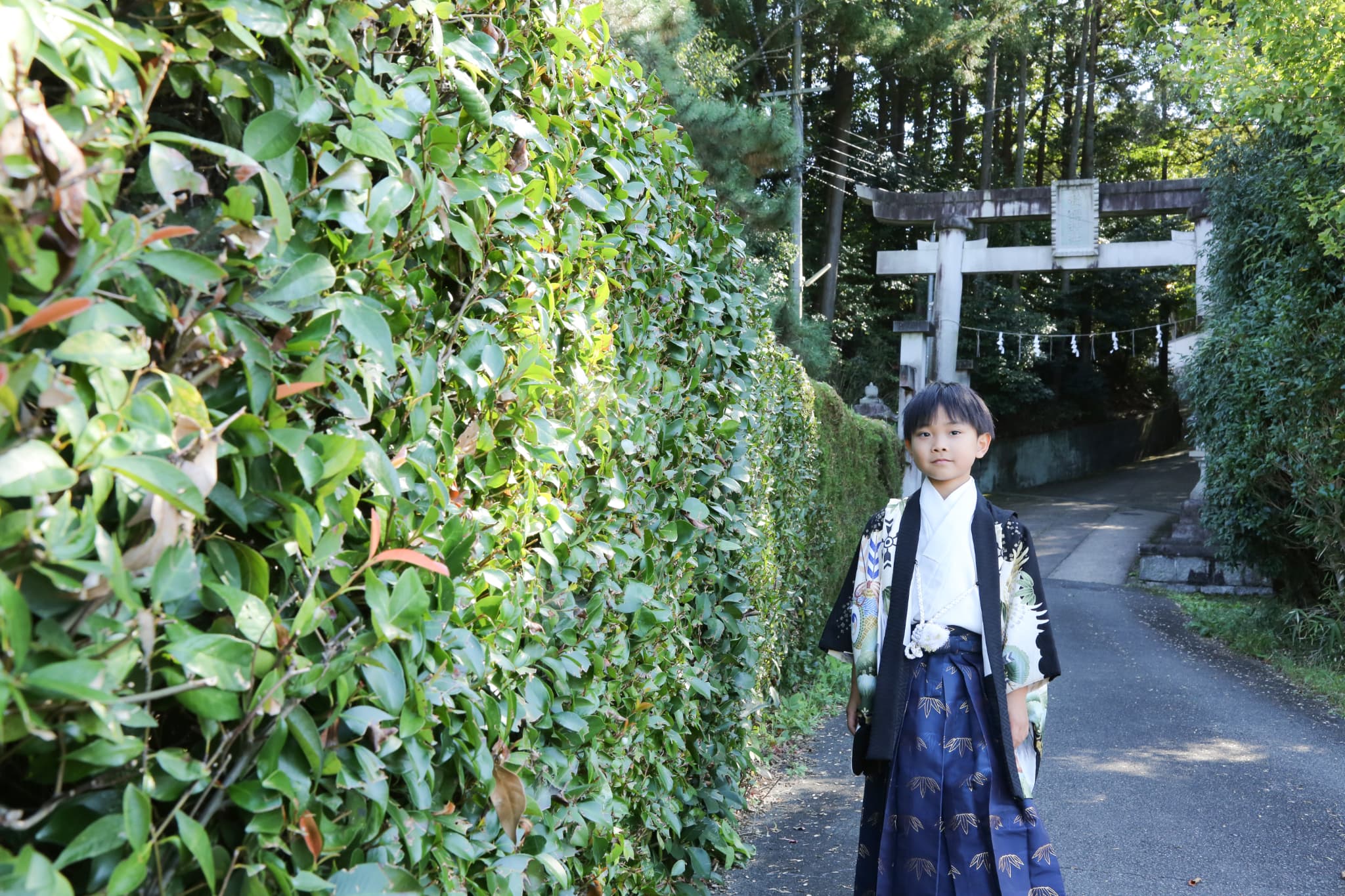 稲植神社_相楽郡精華町_七五三_お参り・ご祈祷_着物レンタル・着付け_一の鳥居
