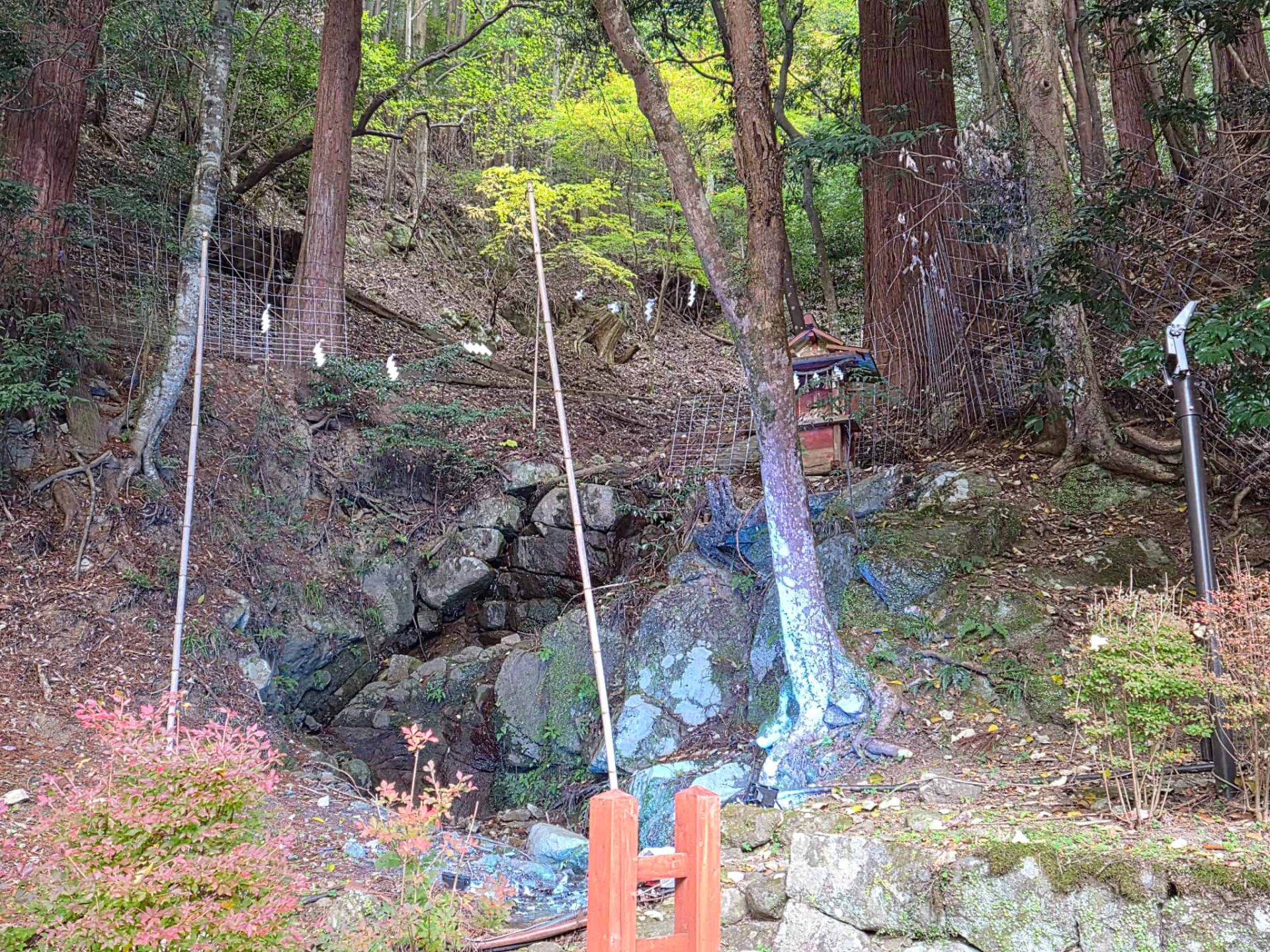 談山神社_奈良県桜井市_お宮参り・七五三・十三参り_龗神社