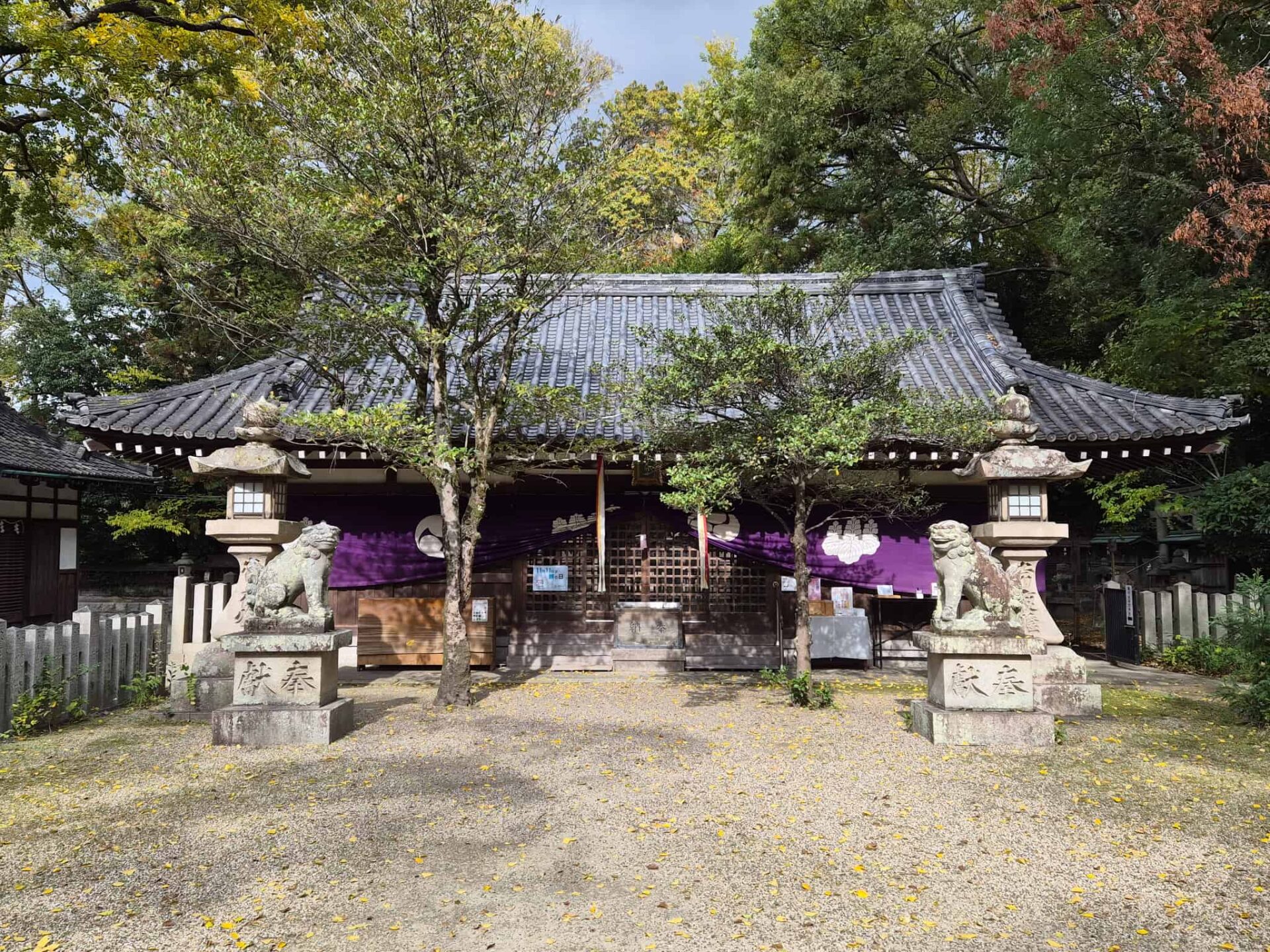 鏡作神社鏡作坐天照御魂神社_磯城郡田原本町_お宮参り・七五三・十三参り_拝殿