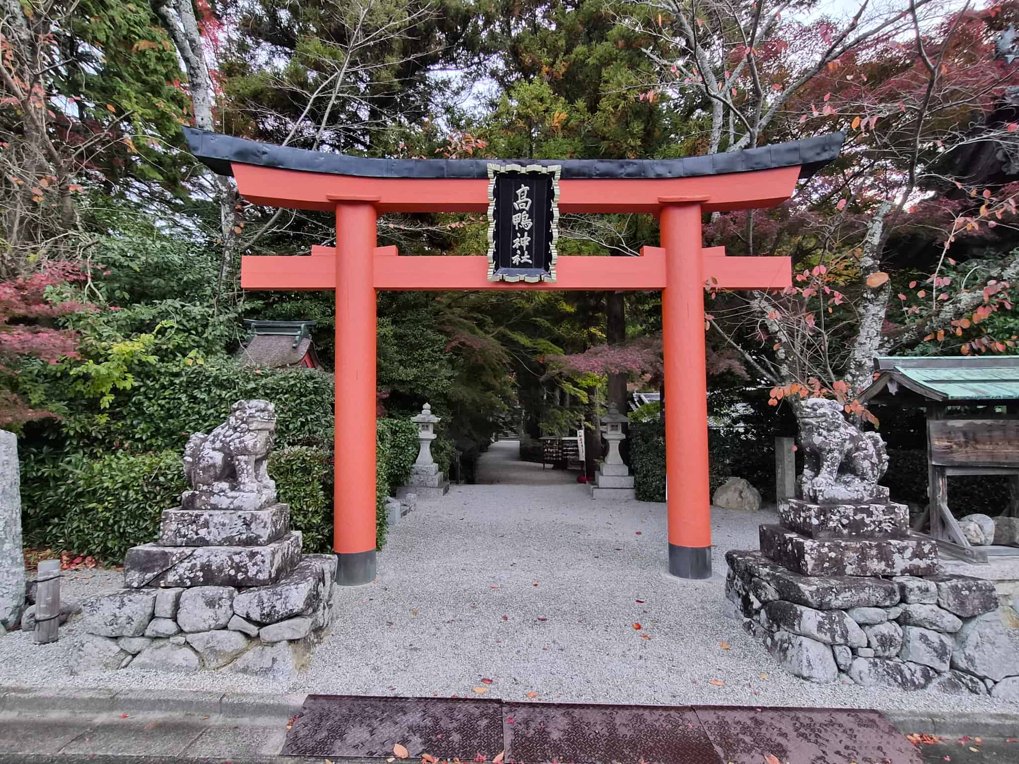 高鴨神社_奈良県御所市_七五三・お宮参り・十三参り_鳥居