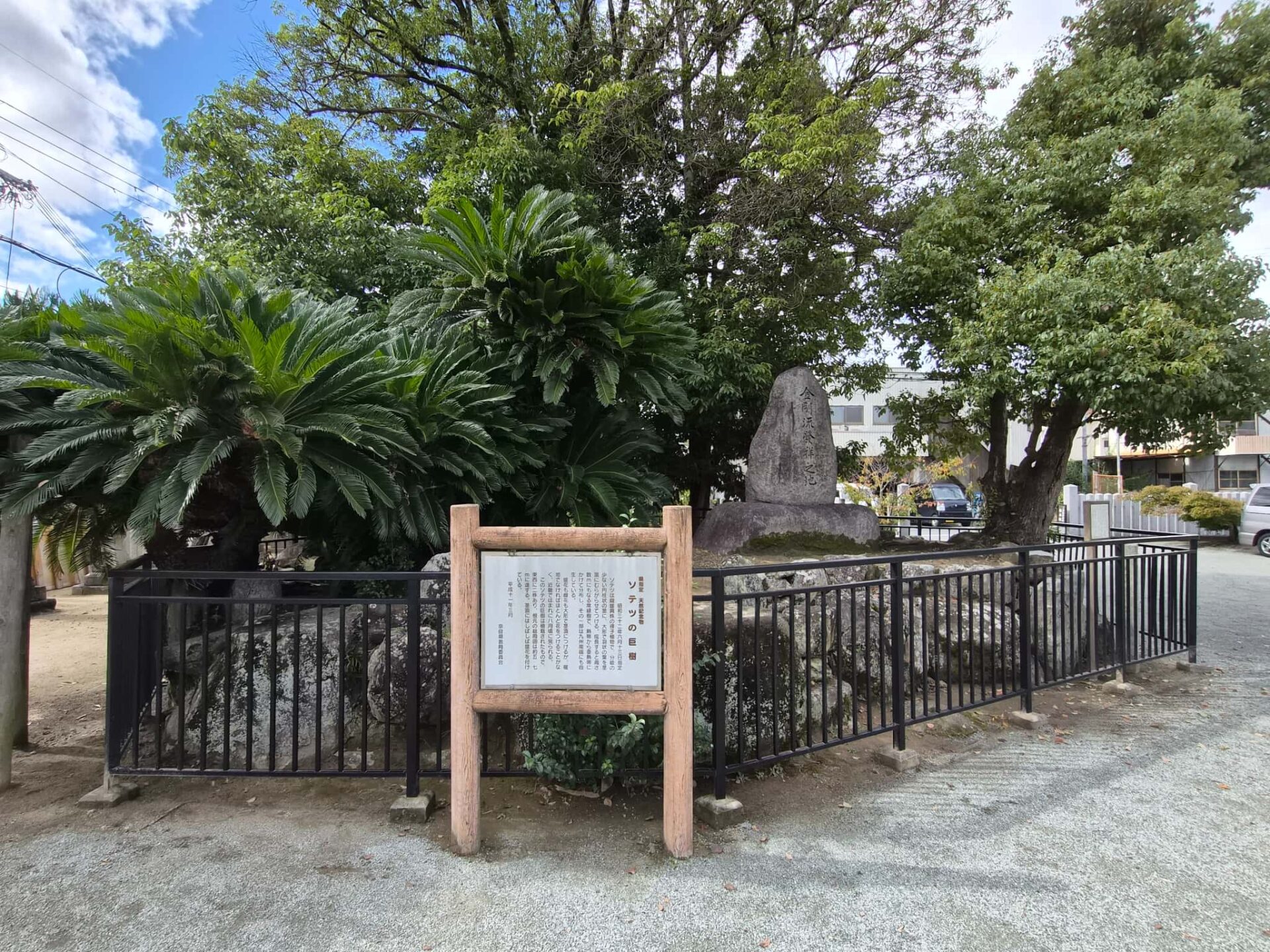龍田神社_生駒郡斑鳩町_七五三・お宮参り_ソテツ