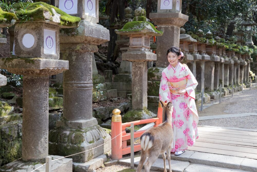 春日大社_十三参りカメラマン出張撮影(ロケーションフォト)_春日大社_奈良市・橿原市・広陵町・木津川市の写真撮影と着物レンタルはフォトスタジオワタナベ(渡辺写真館)