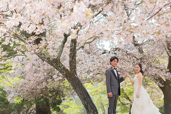 洋装での奈良公園フォトウェディング・結婚式前撮り