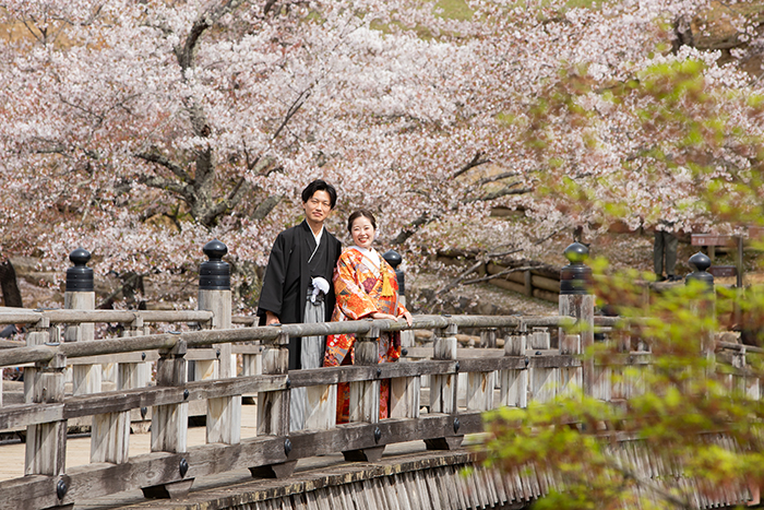 奈良のフォトウェディング・結婚式前撮り桜の季節