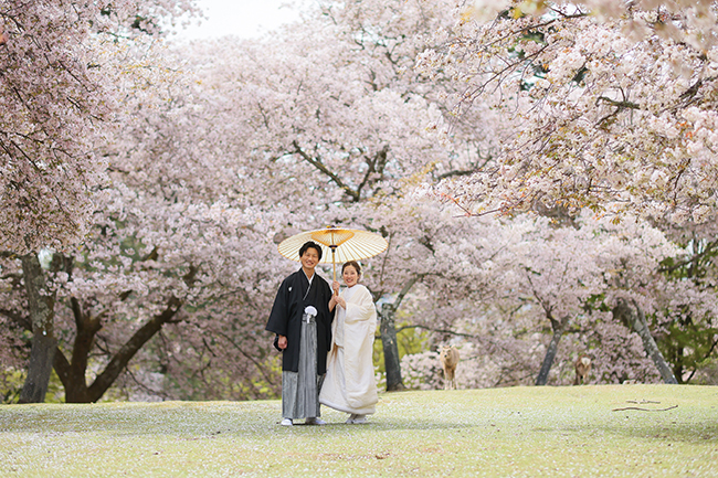 奈良でのフォトウェディング・結婚式前撮りの写真館の選び方