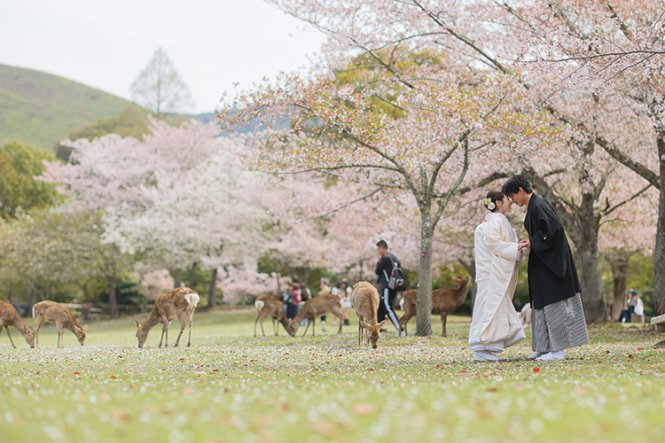 和装での奈良公園フォトウェディング・結婚式前撮り