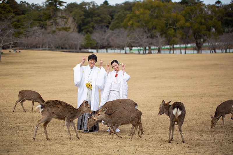 奈良公園で鹿とのフォトウェディング・結婚式前撮り写真