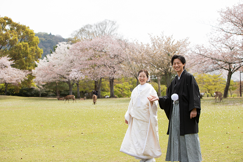 奈良公園でのフォトウェディング・結婚式前撮りロケーションフォト