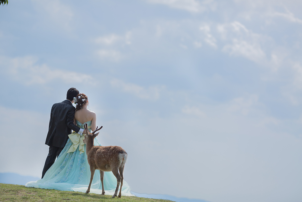 若草山でのフォトウェディング・結婚式前撮りロケーションフォト
