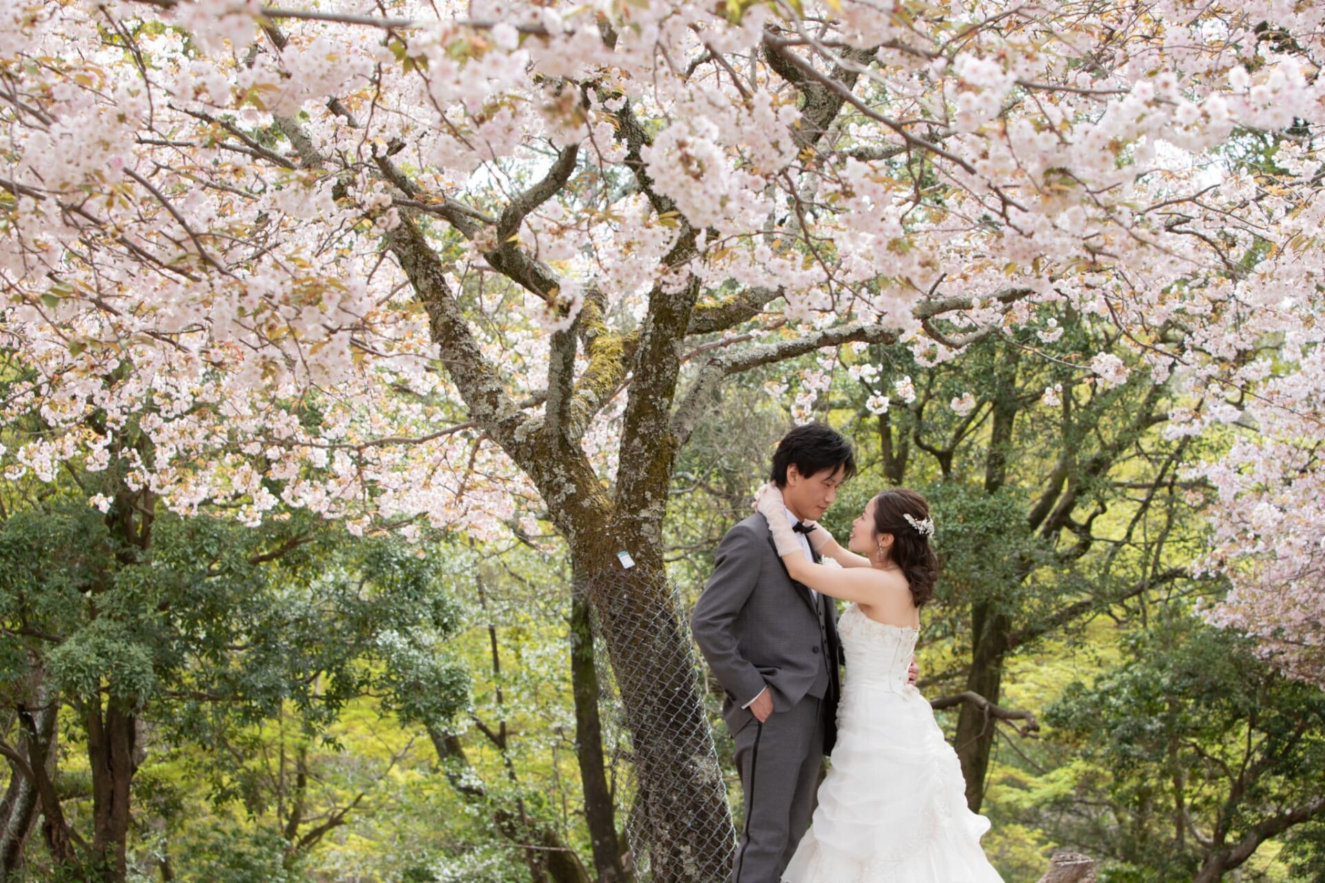 奈良公園フォトウェディング結婚式前撮り_洋装撮影開始
