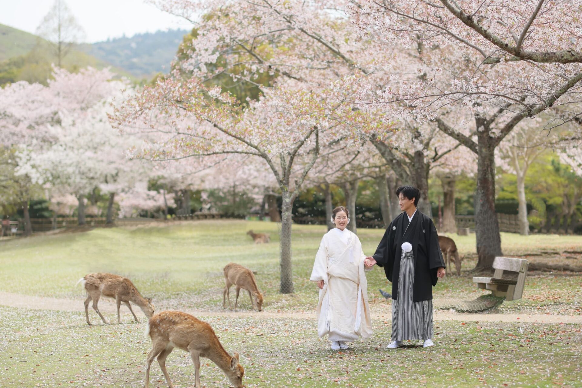 浮見堂フォトウェディング・結婚式前撮り_奈良公園へ移動