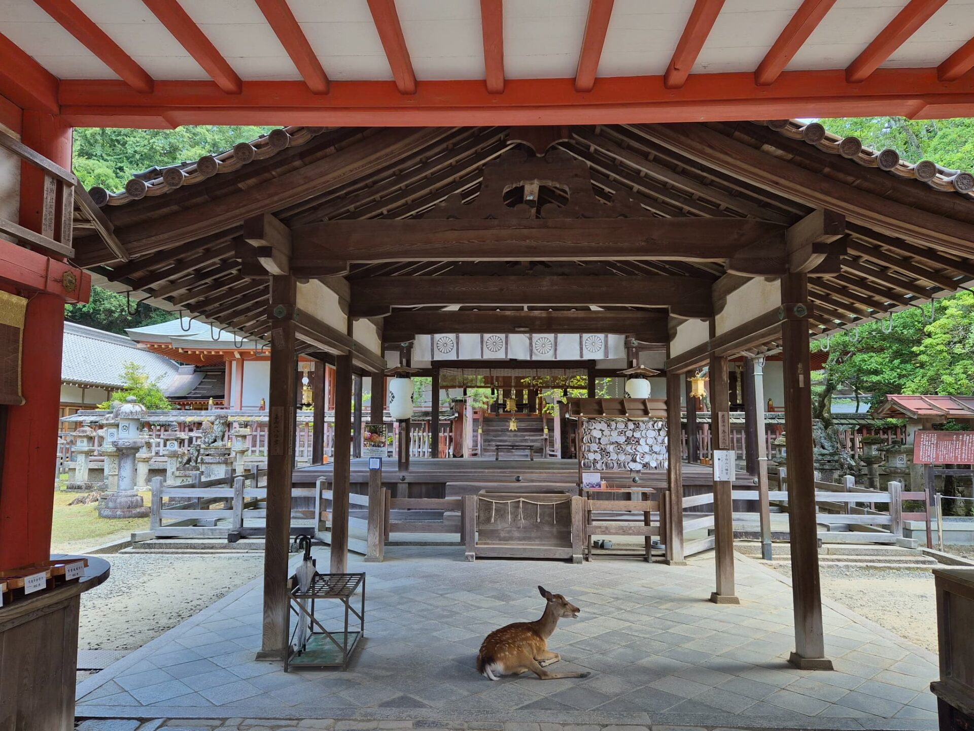 本殿・拝殿_手向山八幡宮_七五三・お宮参り・十三参り_奈良の写真撮影と着物レンタルならフォトスタジオワタナベ